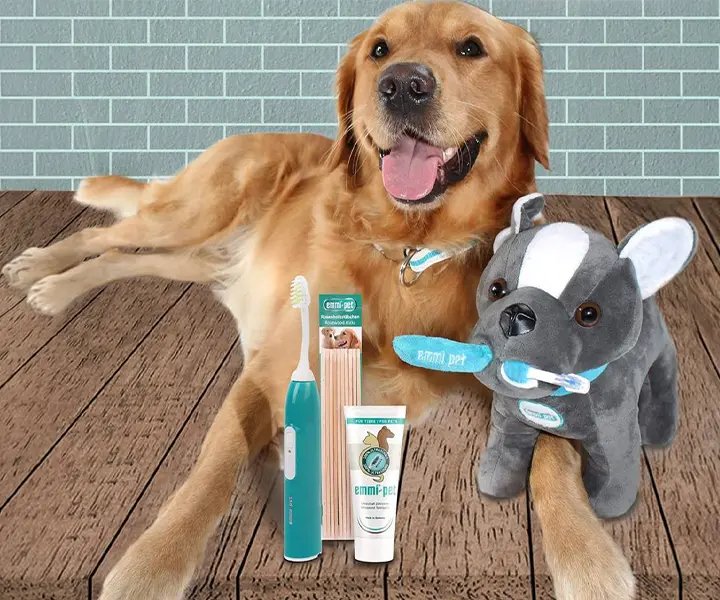 Oaklands Boarding Kennels - Dog Teeth Cleaning - EmmiPet